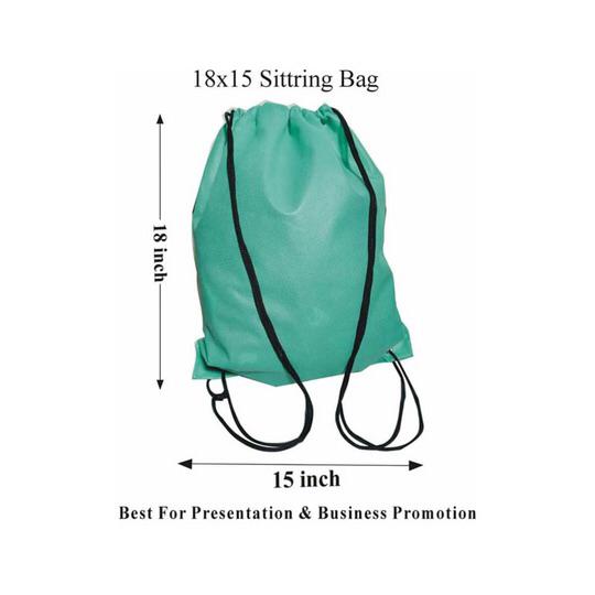 Shoe Bag